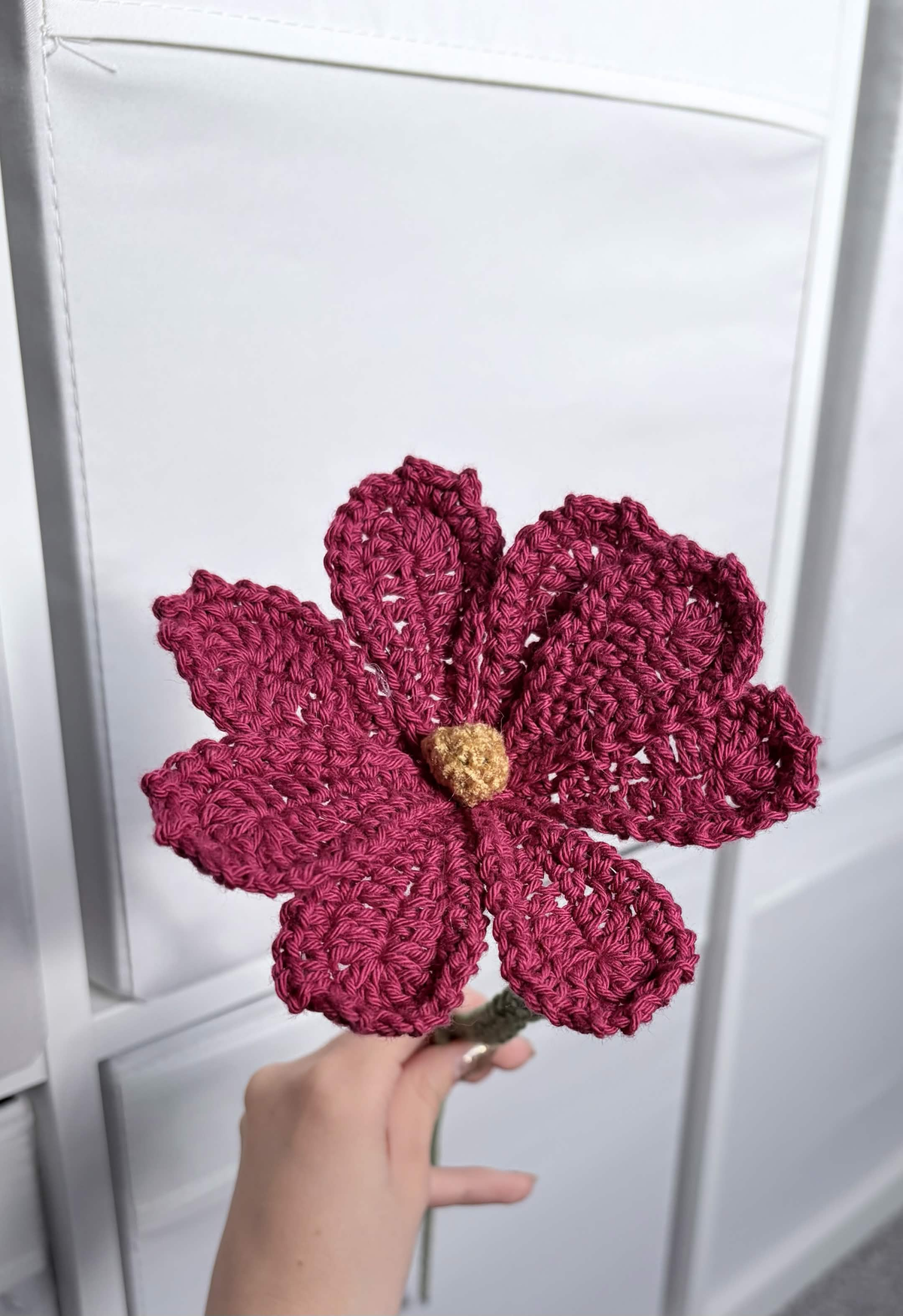 cosmos