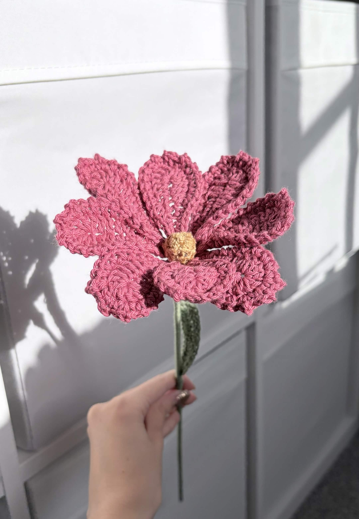 cosmos