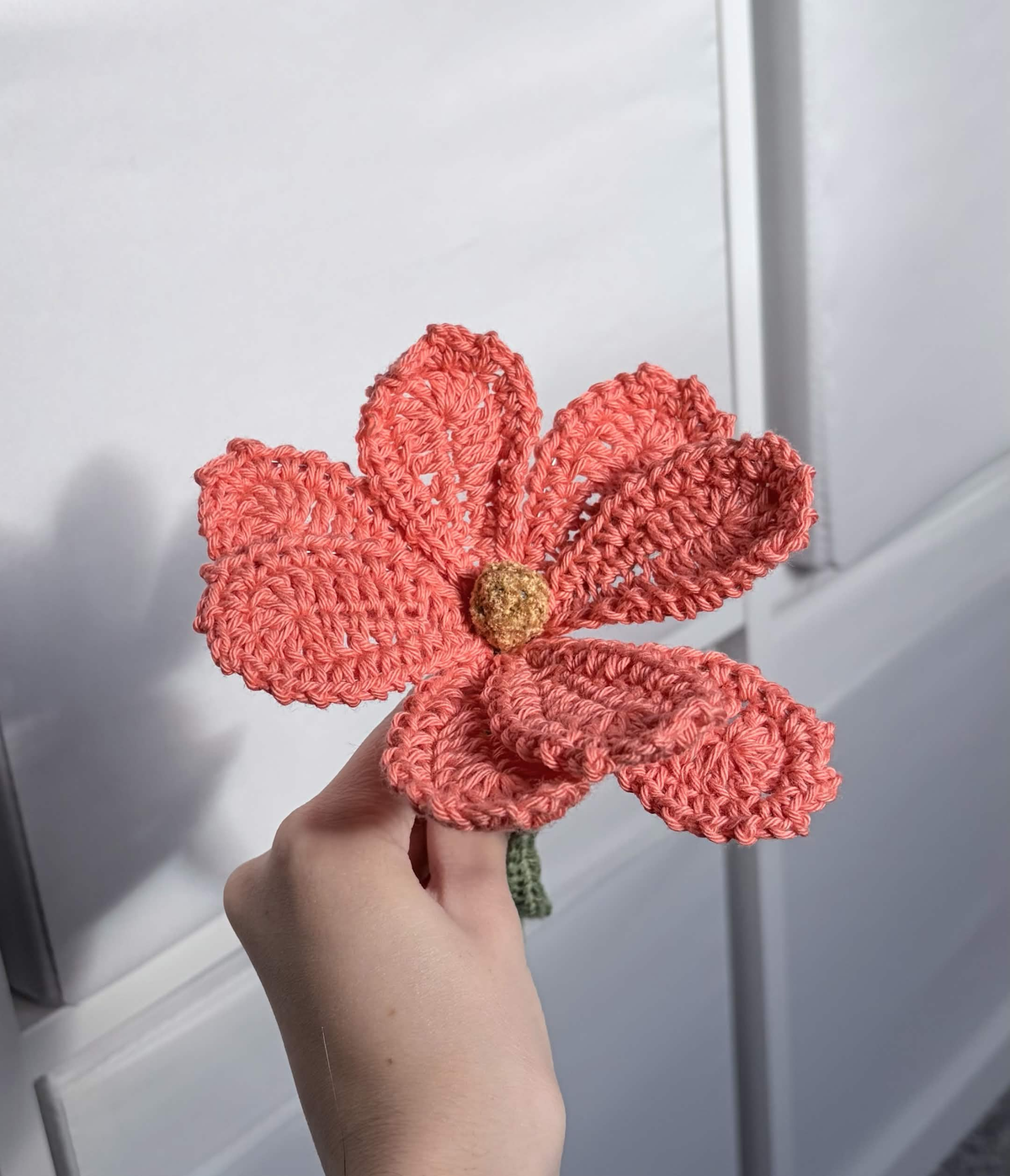 cosmos