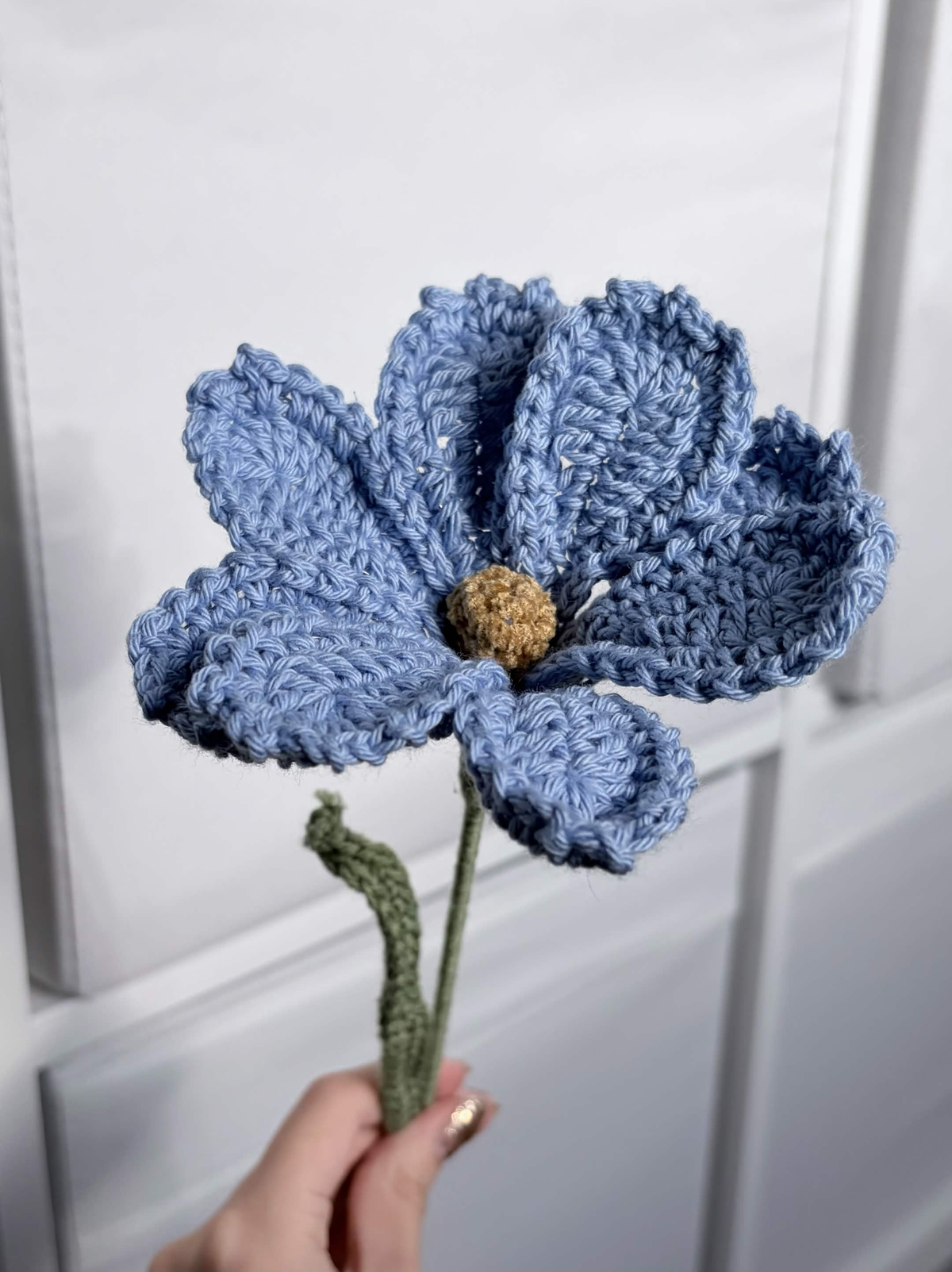 cosmos