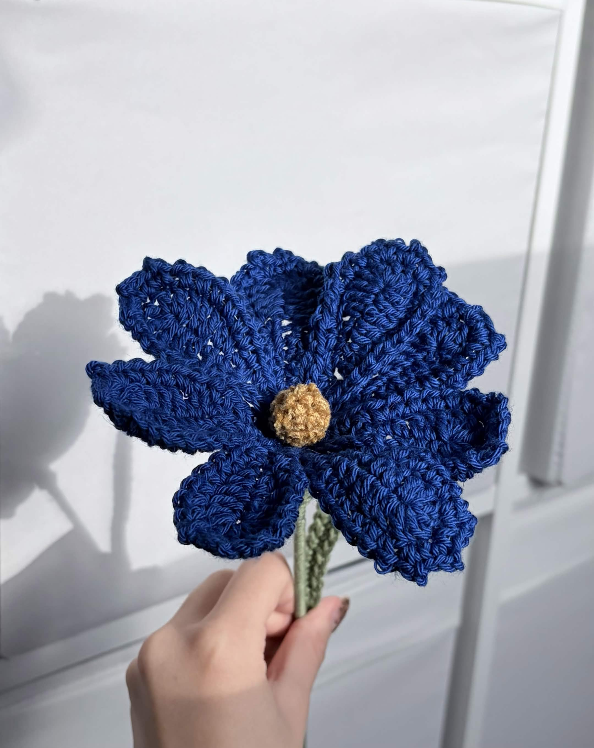 cosmos