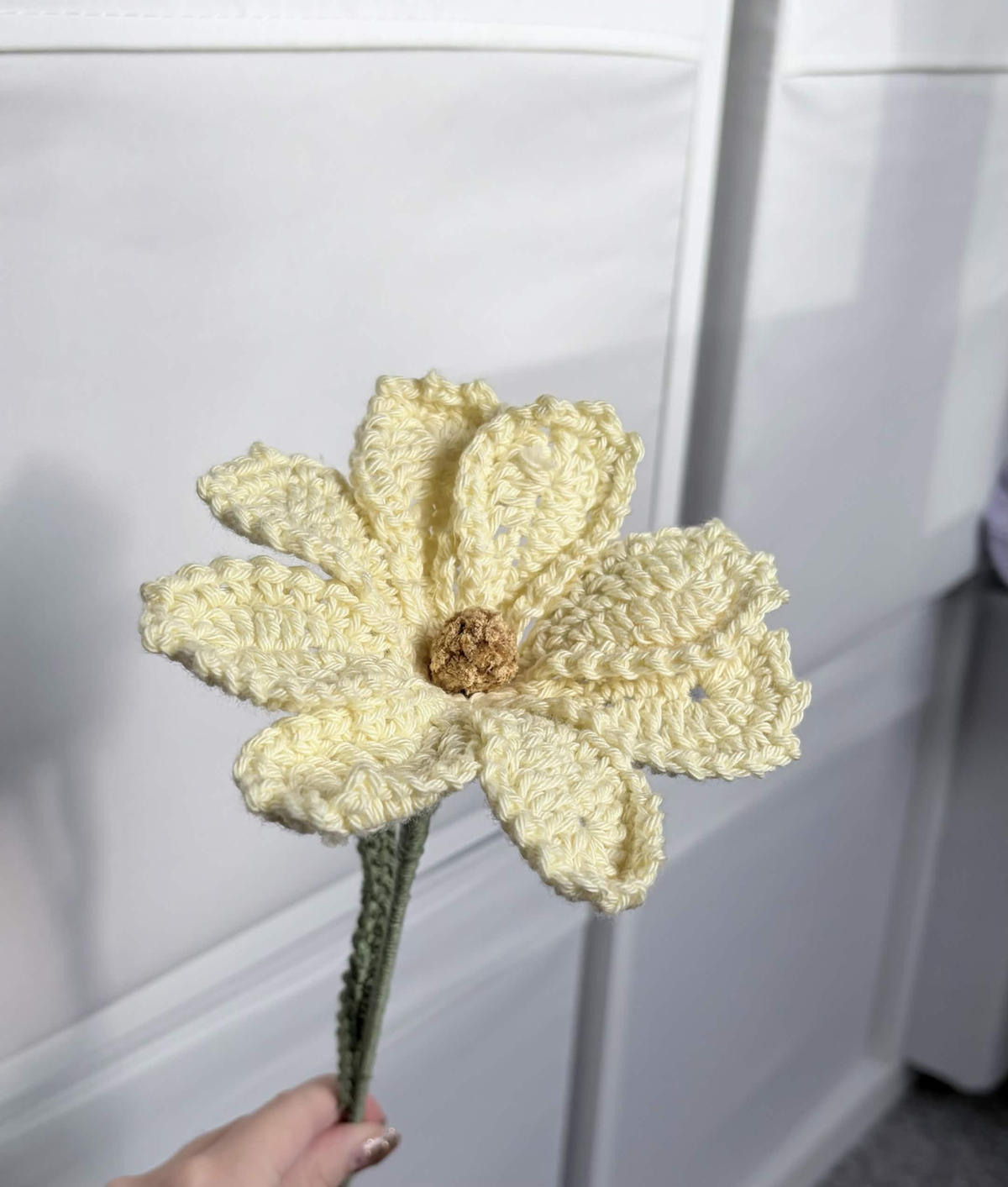 cosmos
