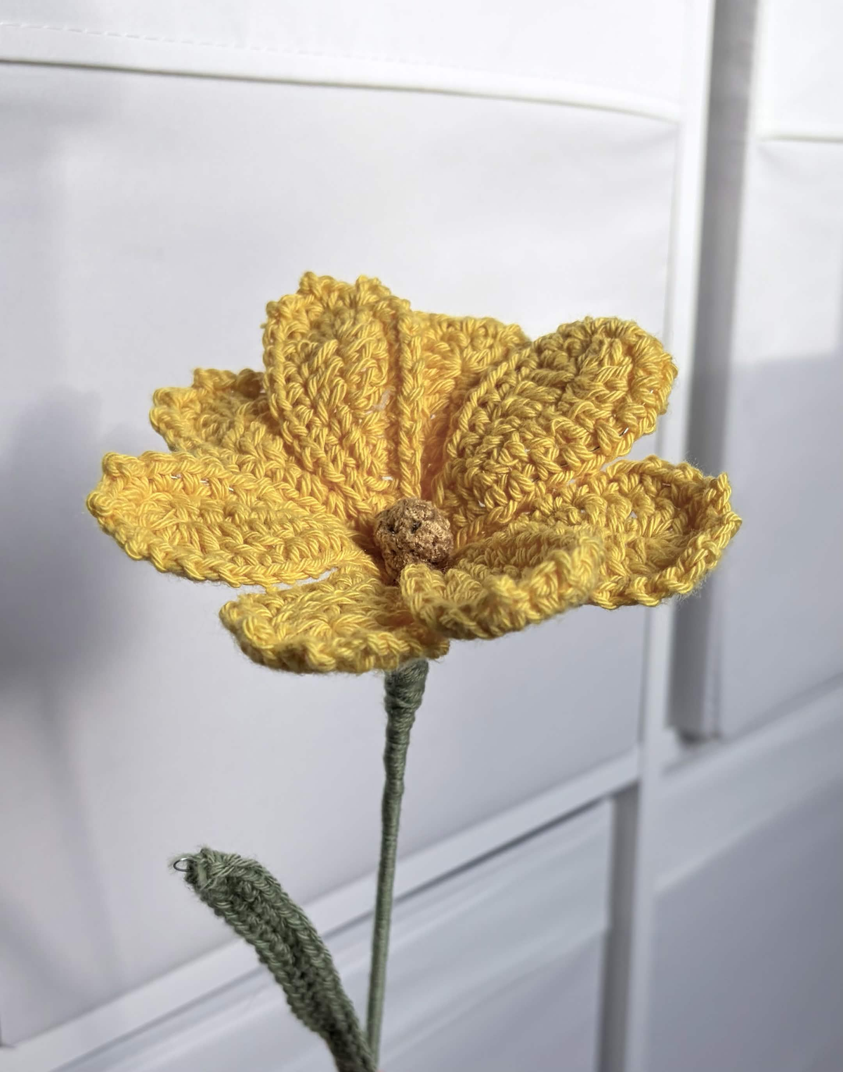cosmos