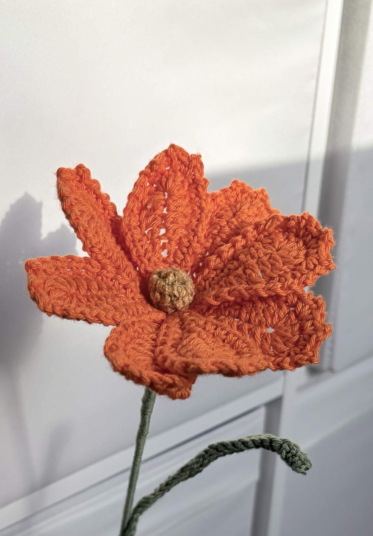 cosmos