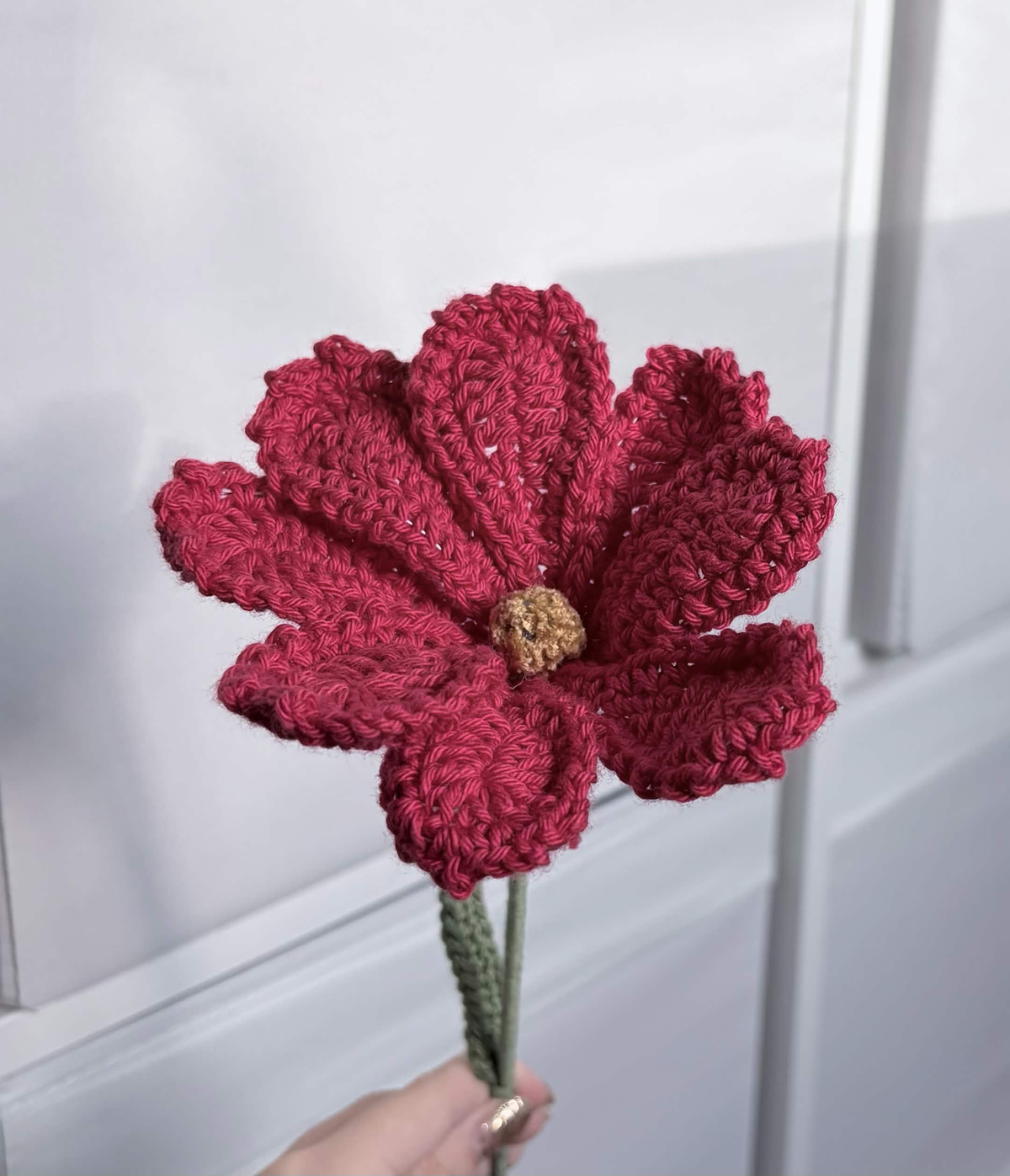 cosmos