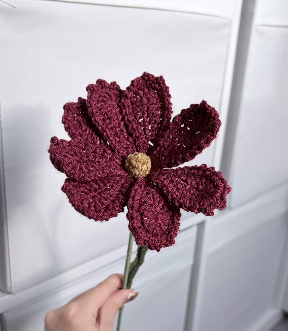 cosmos