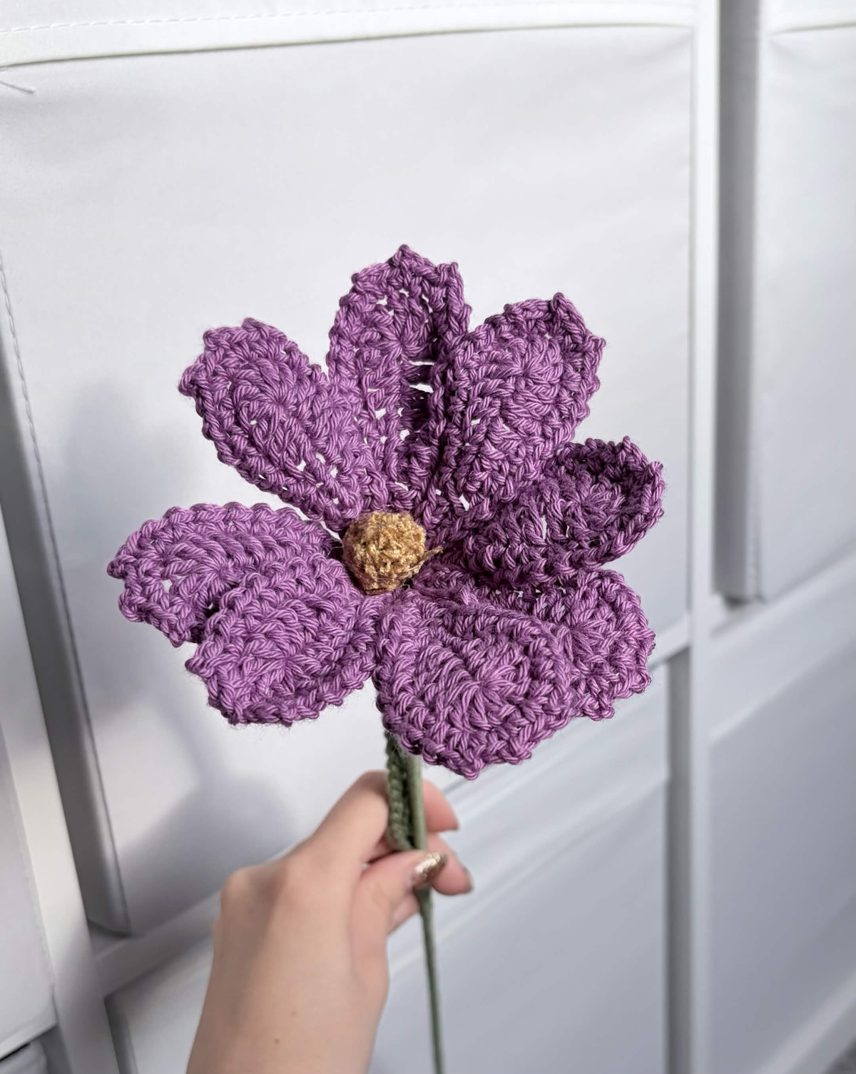 cosmos