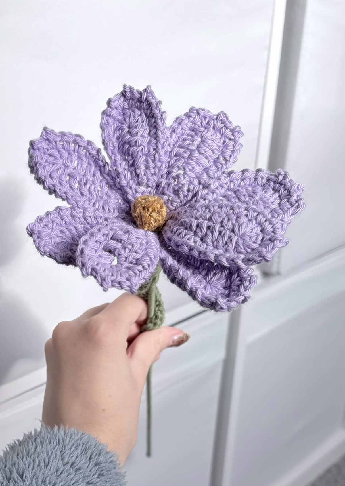 cosmos