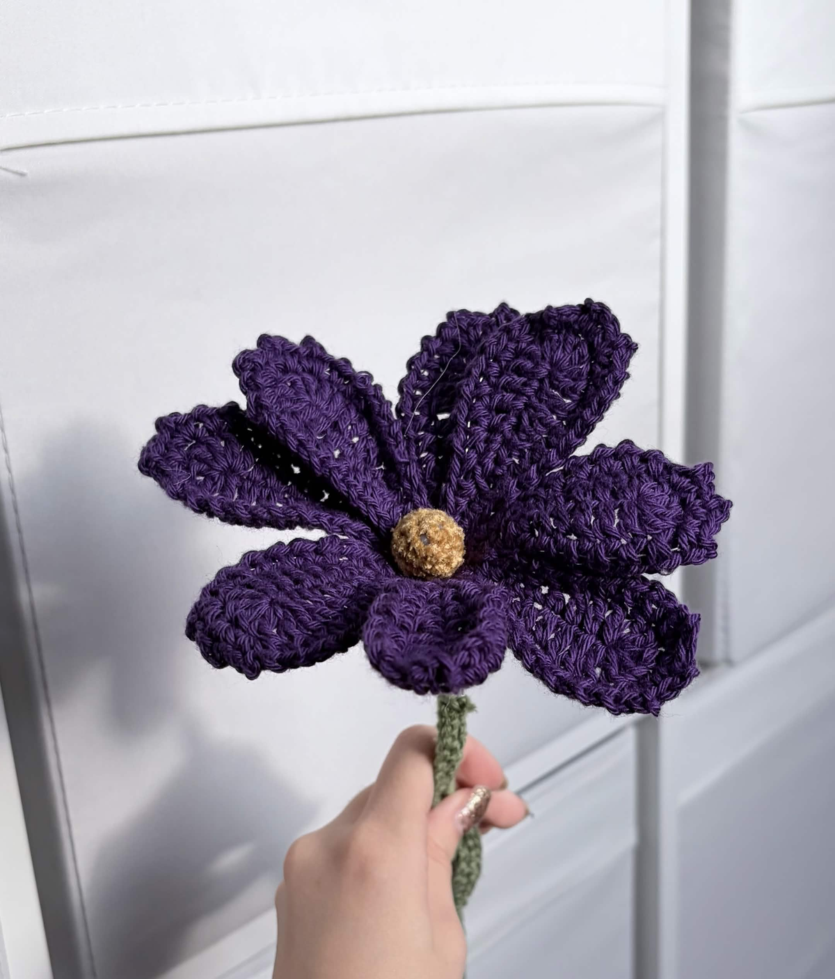 cosmos