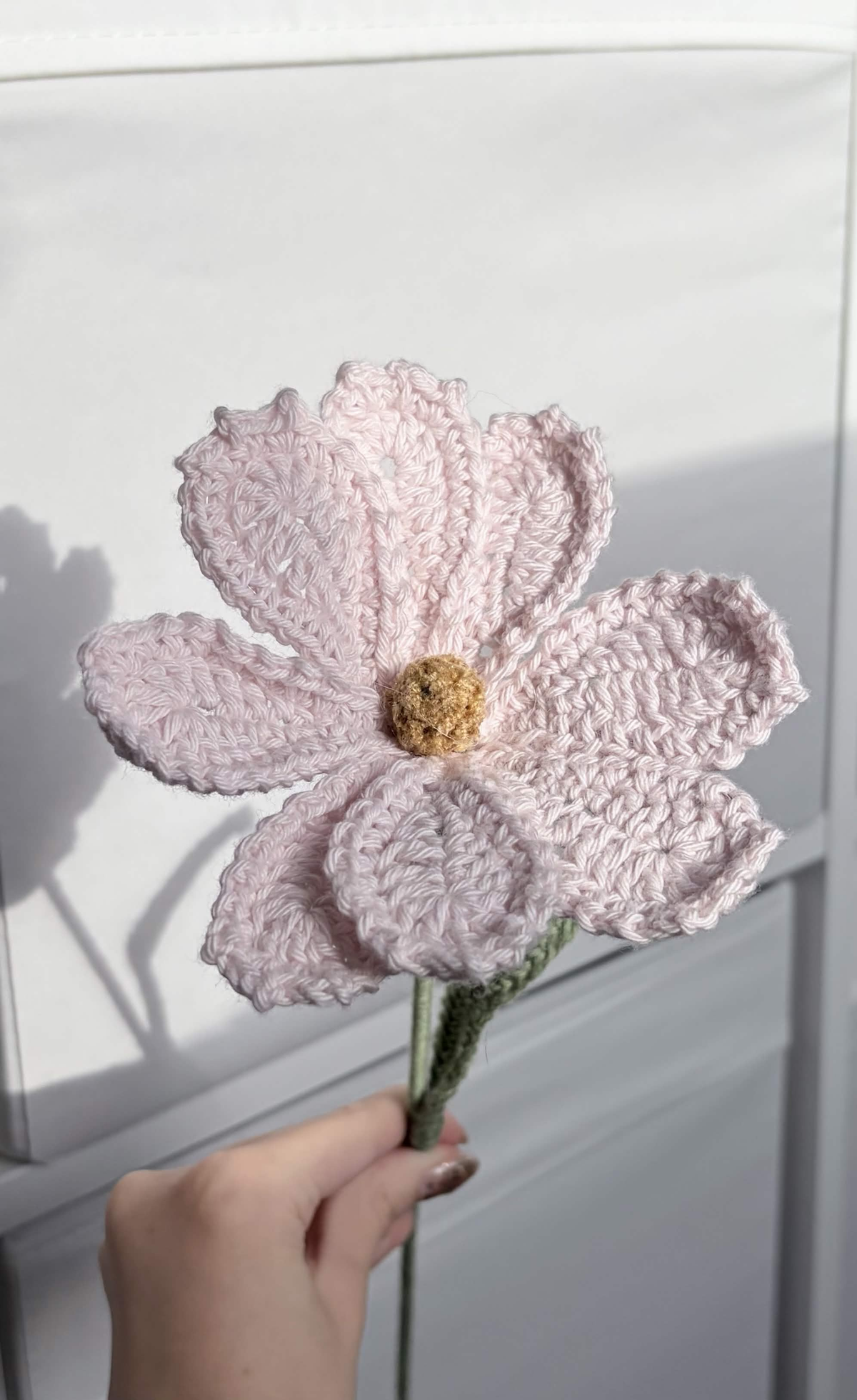 cosmos