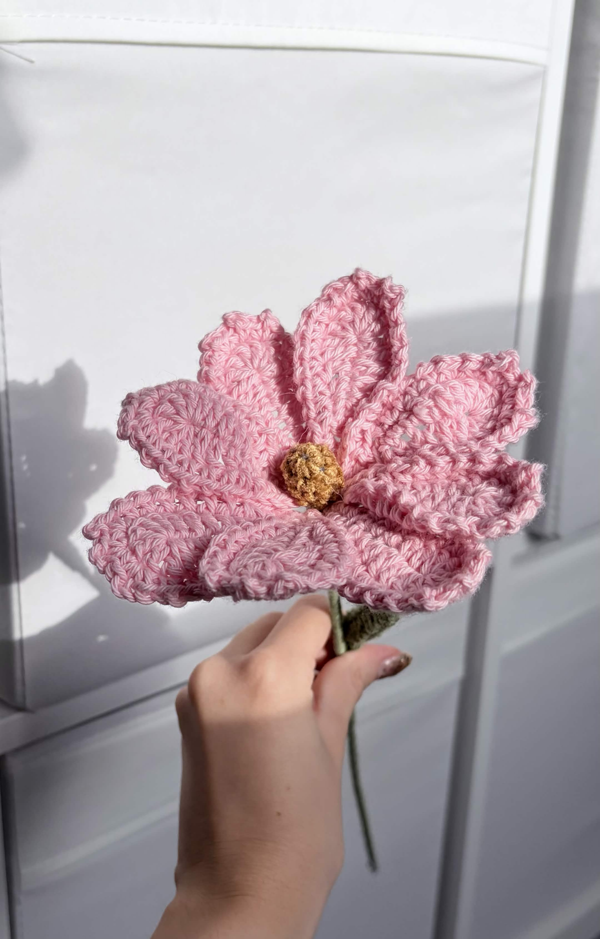 cosmos