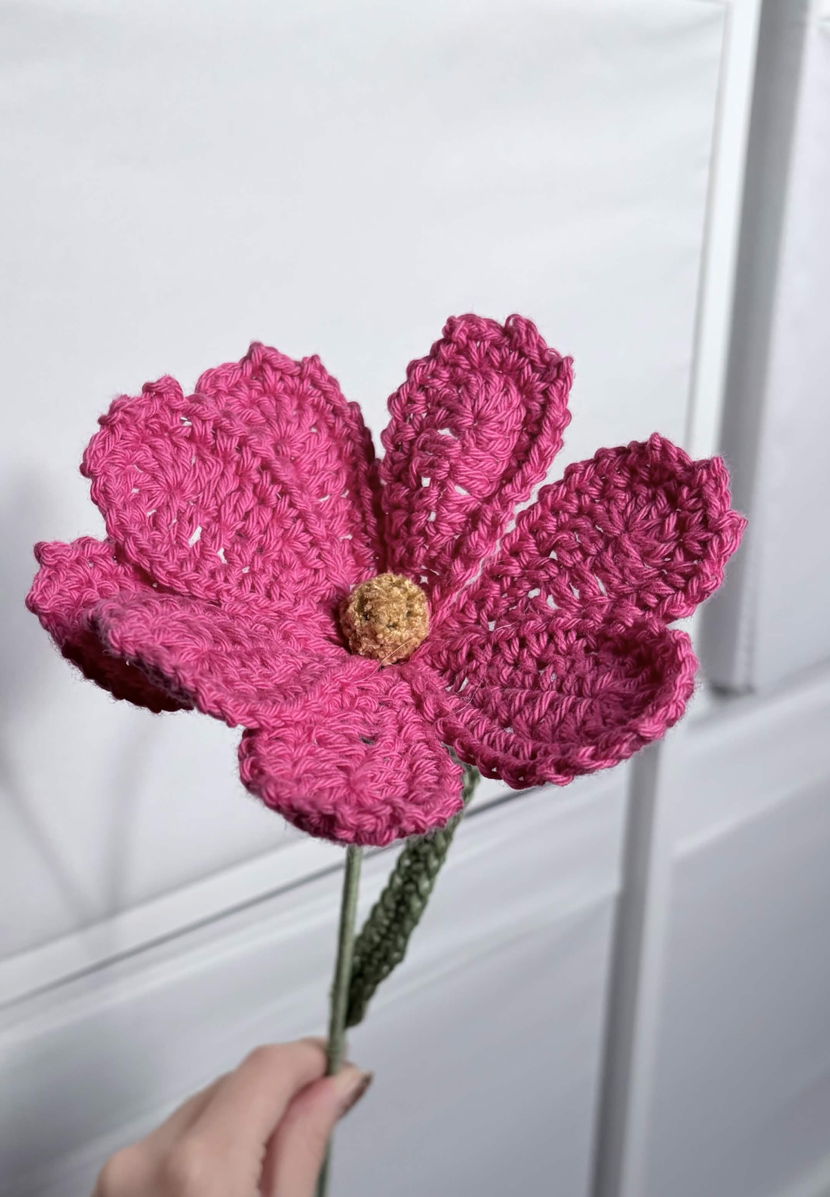 cosmos