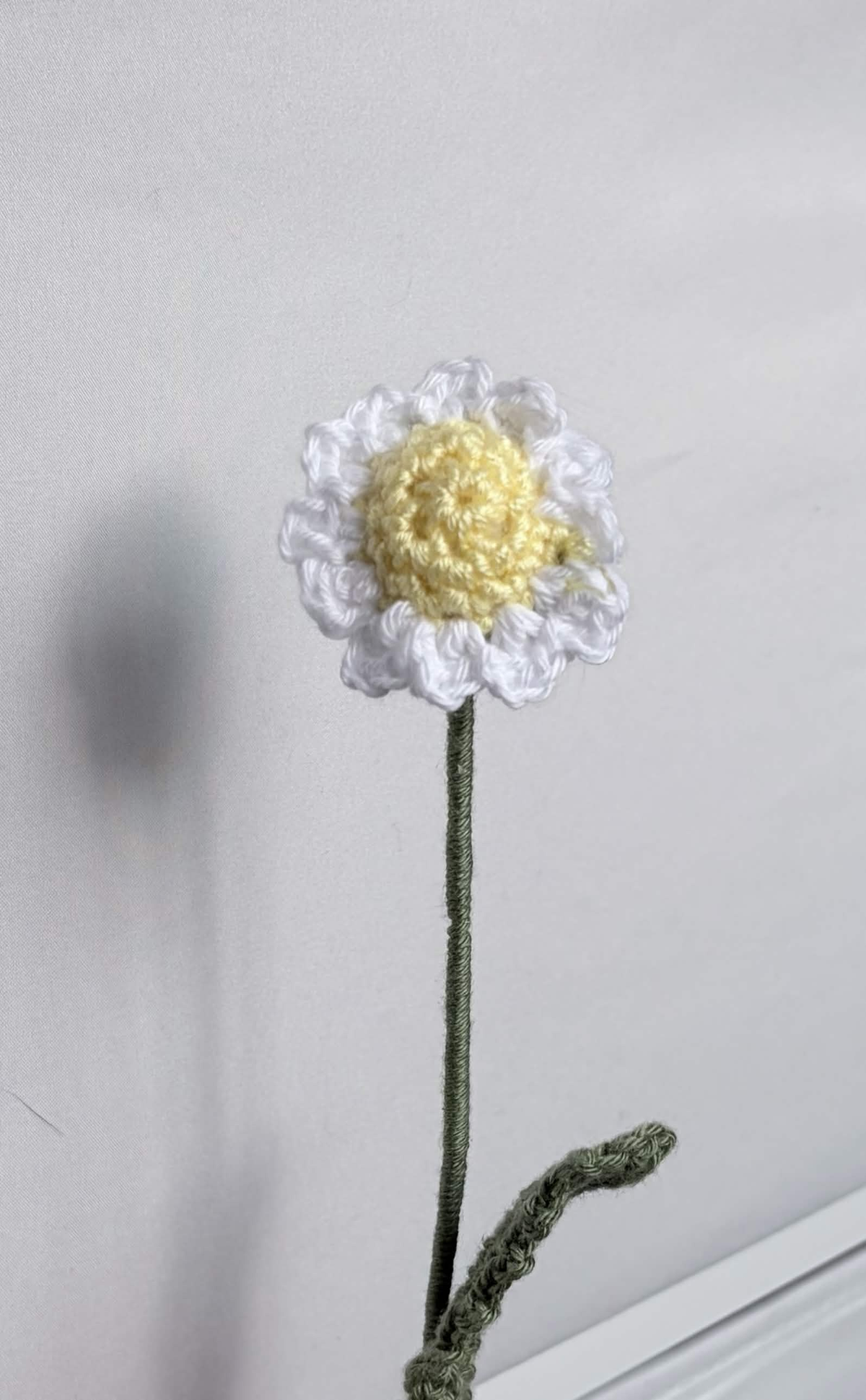 mini daisy
