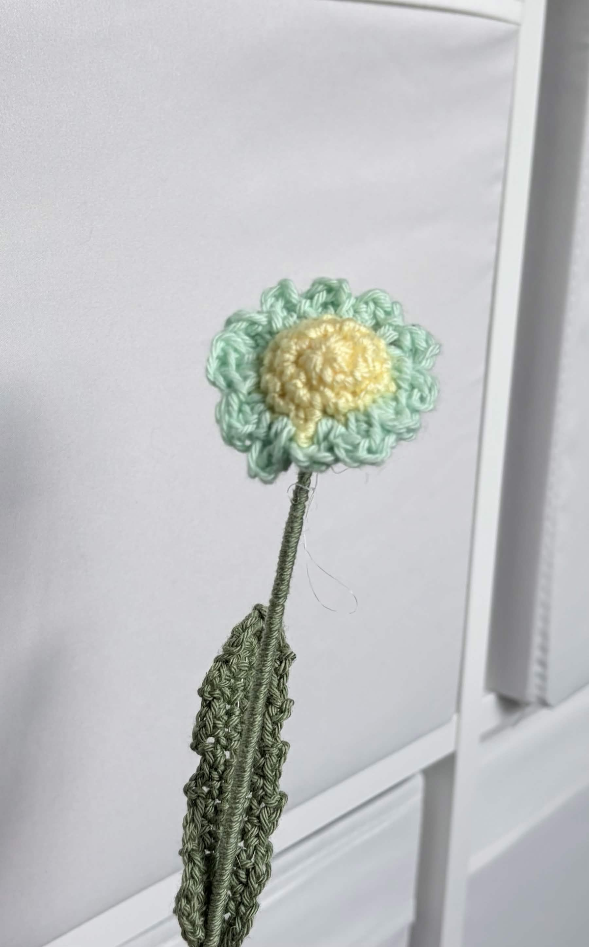 mini daisy