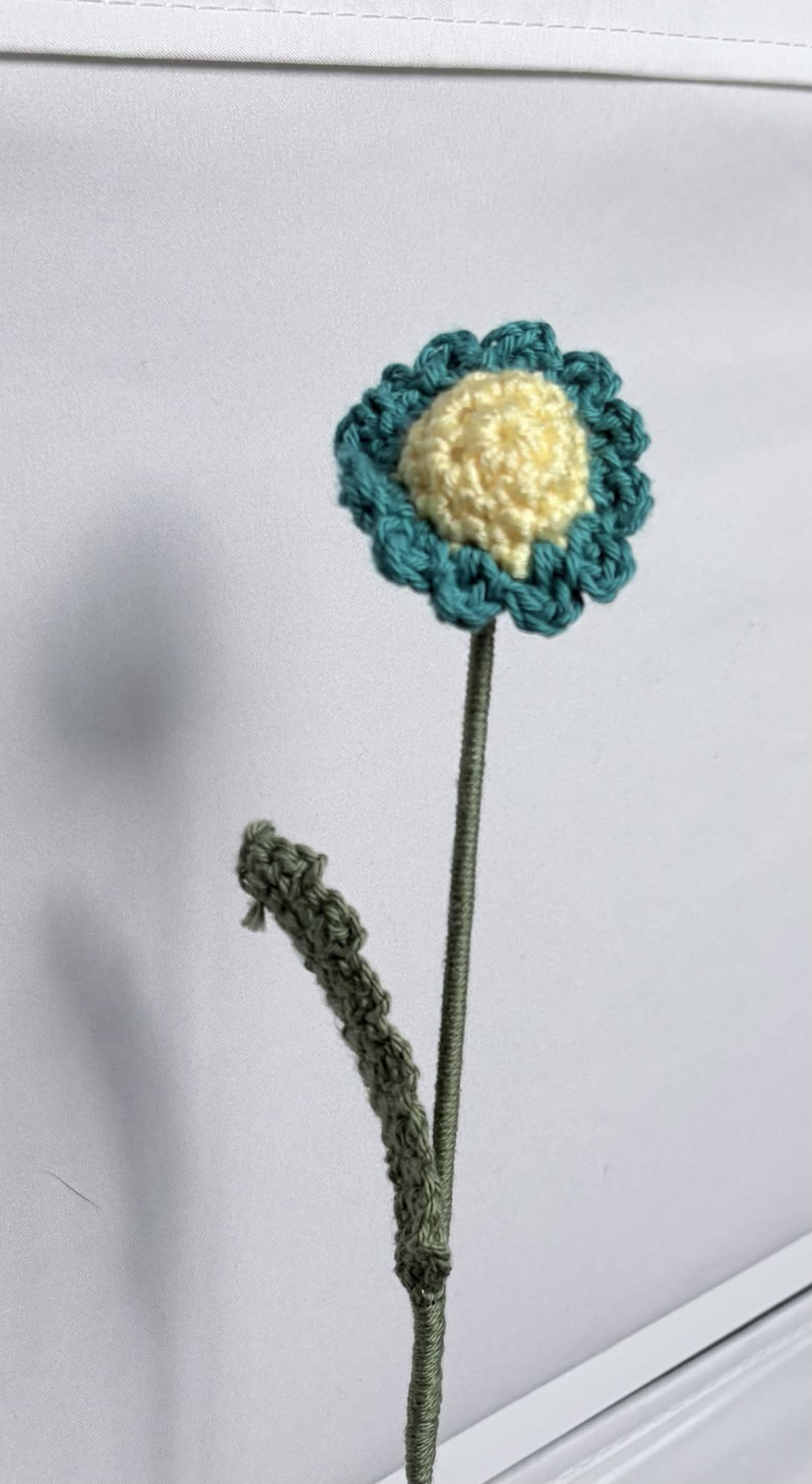 mini daisy