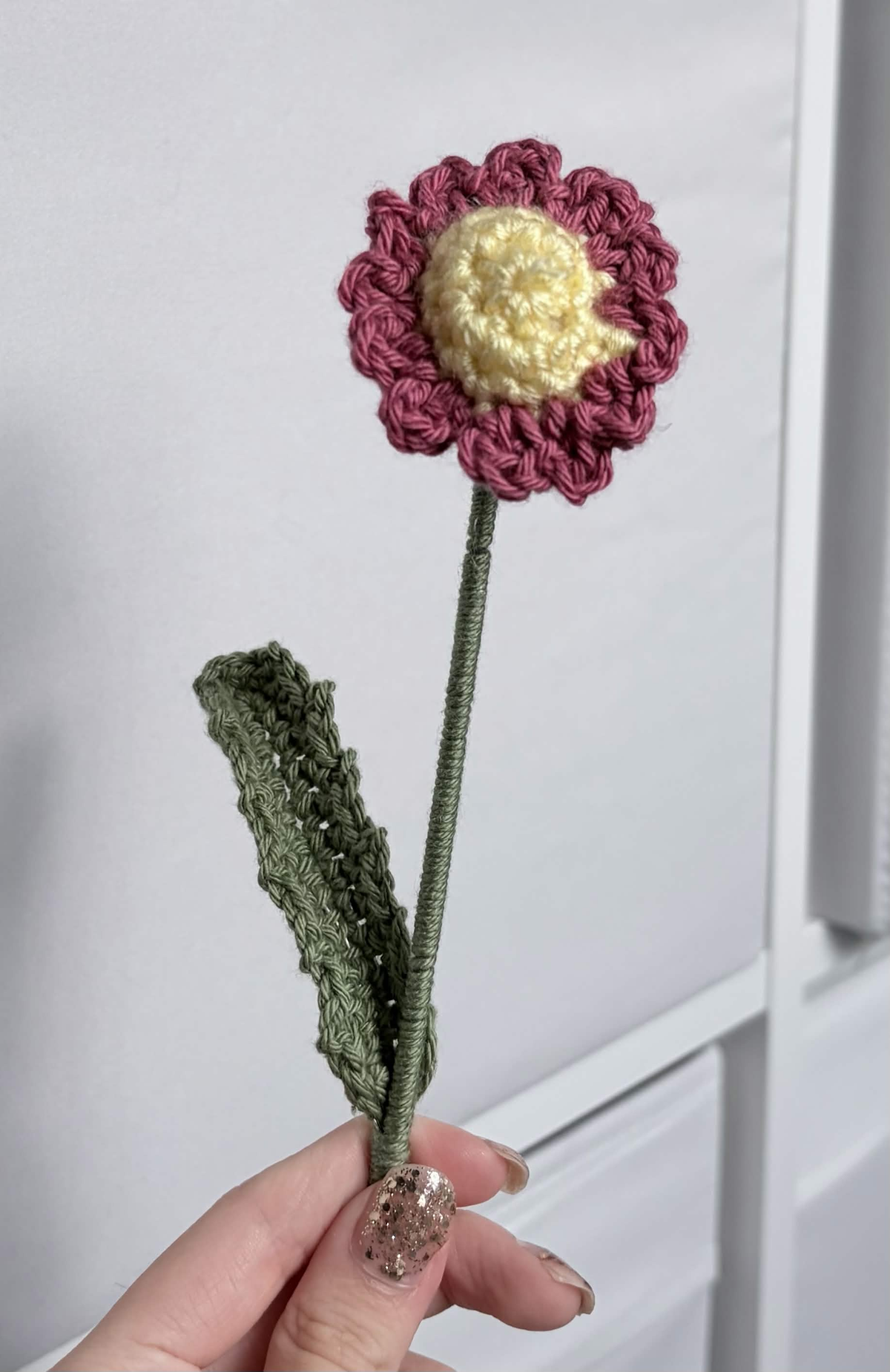 mini daisy