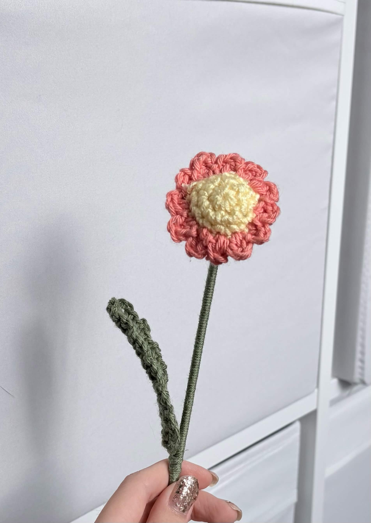mini daisy