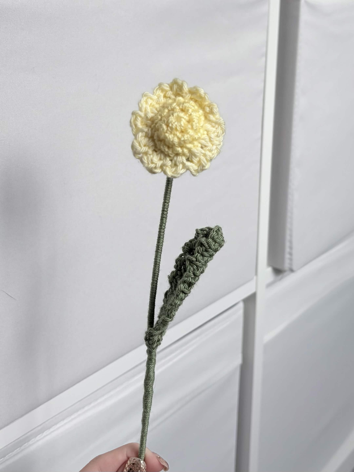 mini daisy