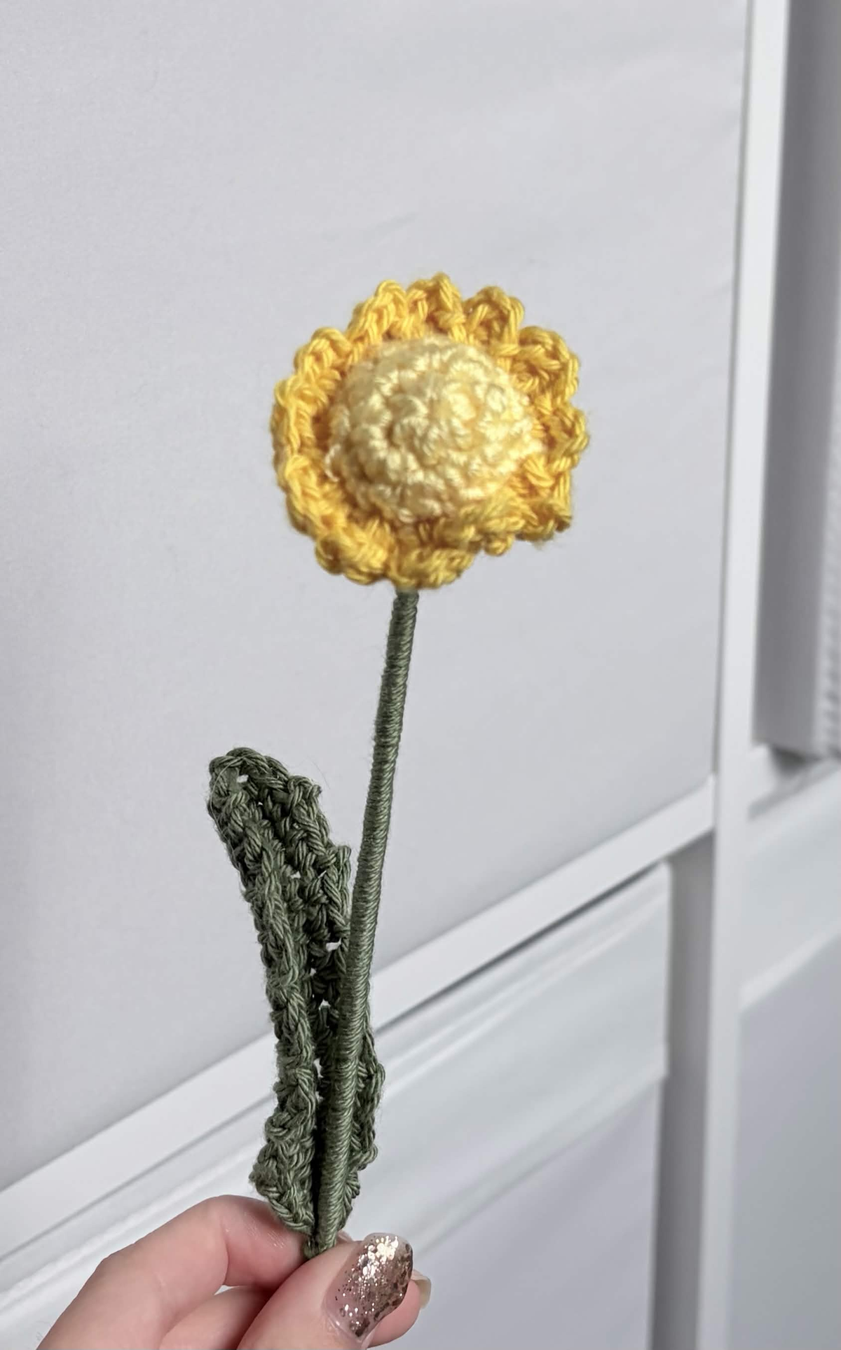 mini daisy