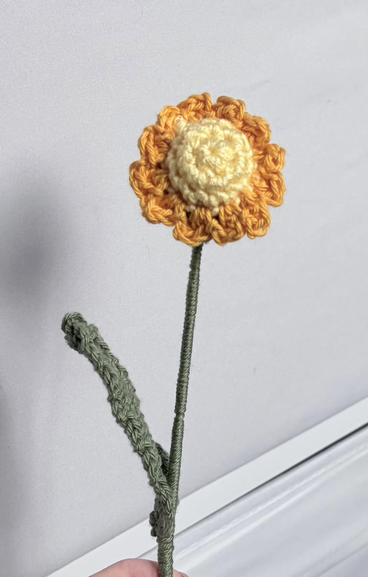 mini daisy