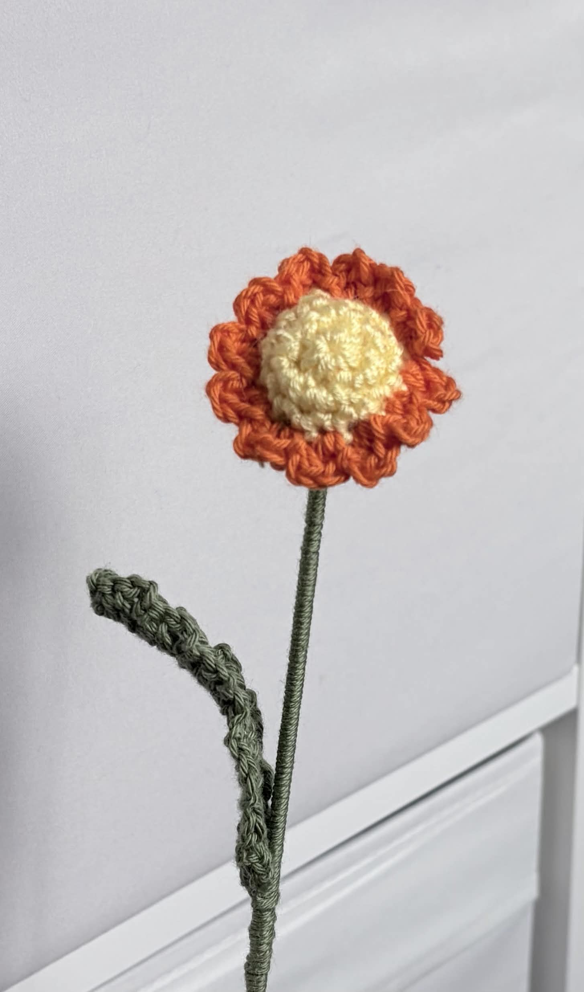 mini daisy