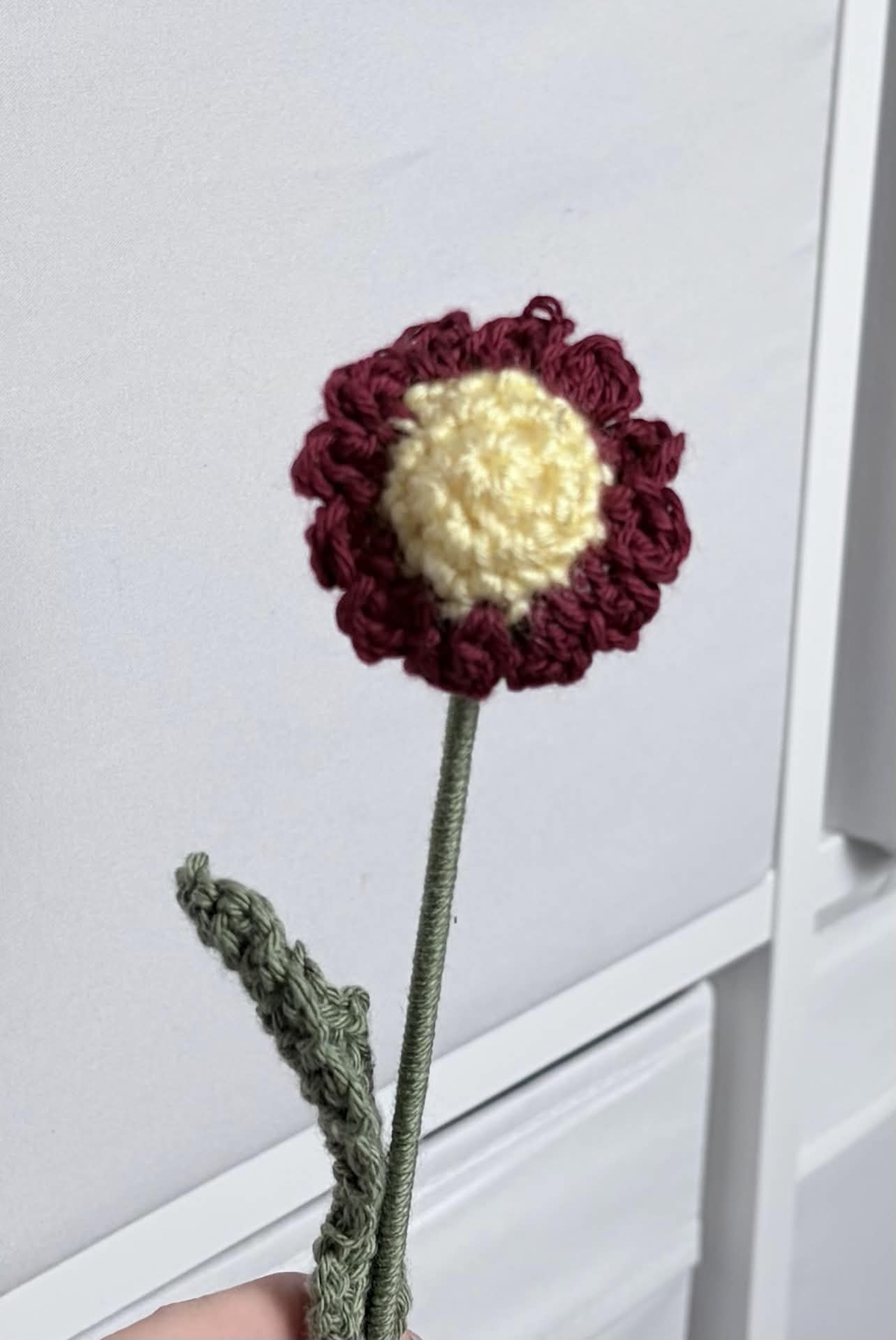 mini daisy