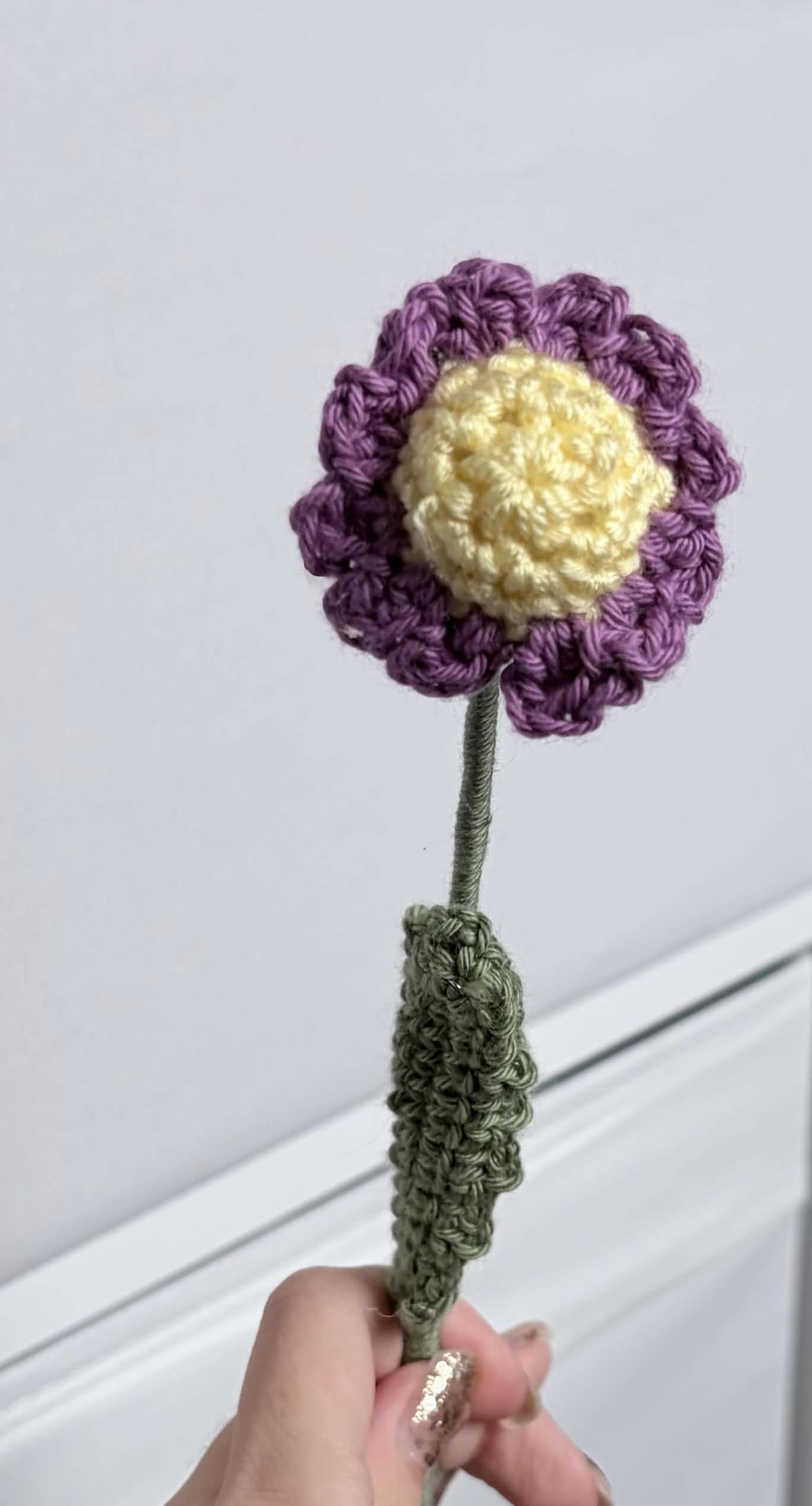 mini daisy