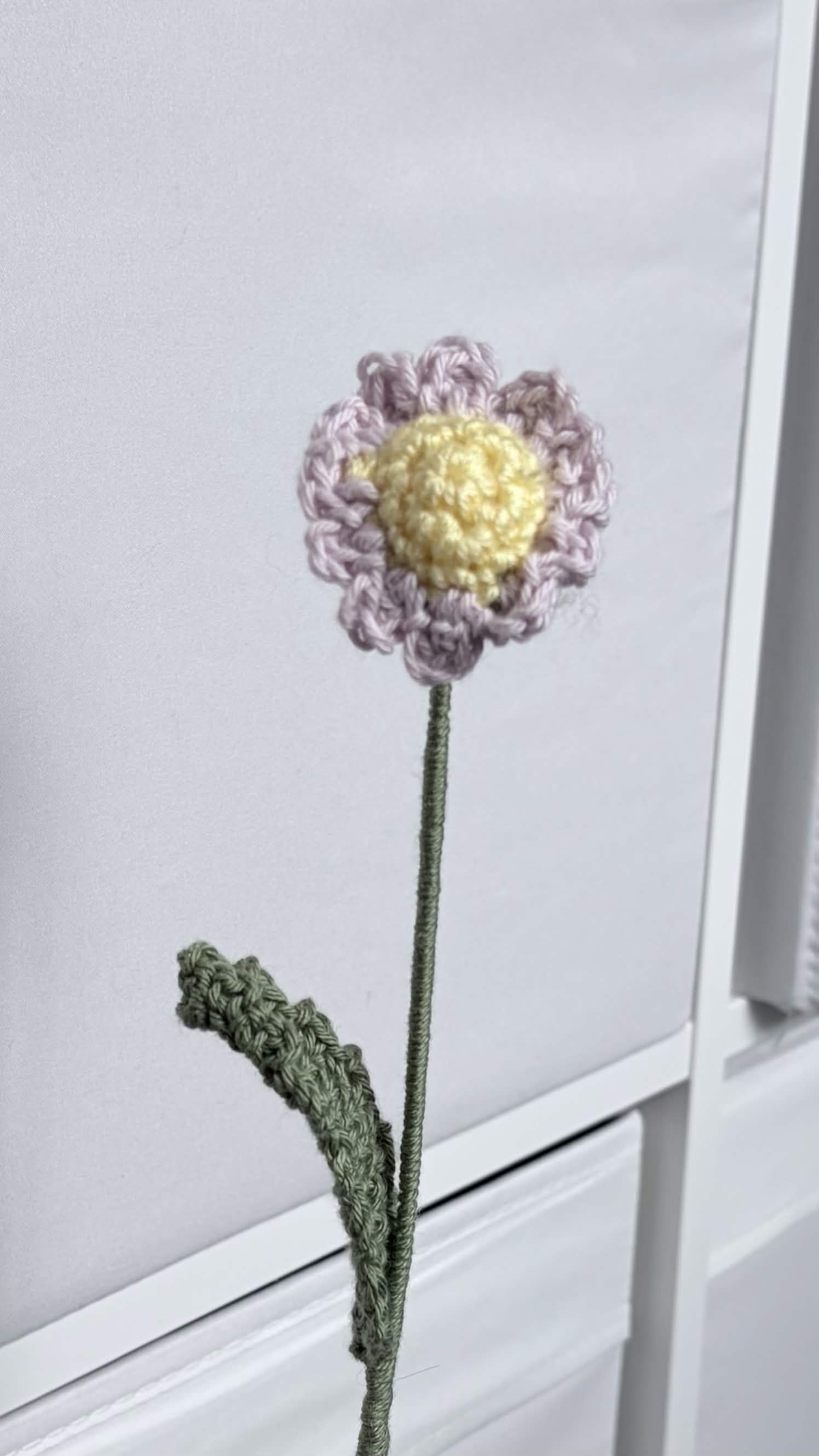 mini daisy