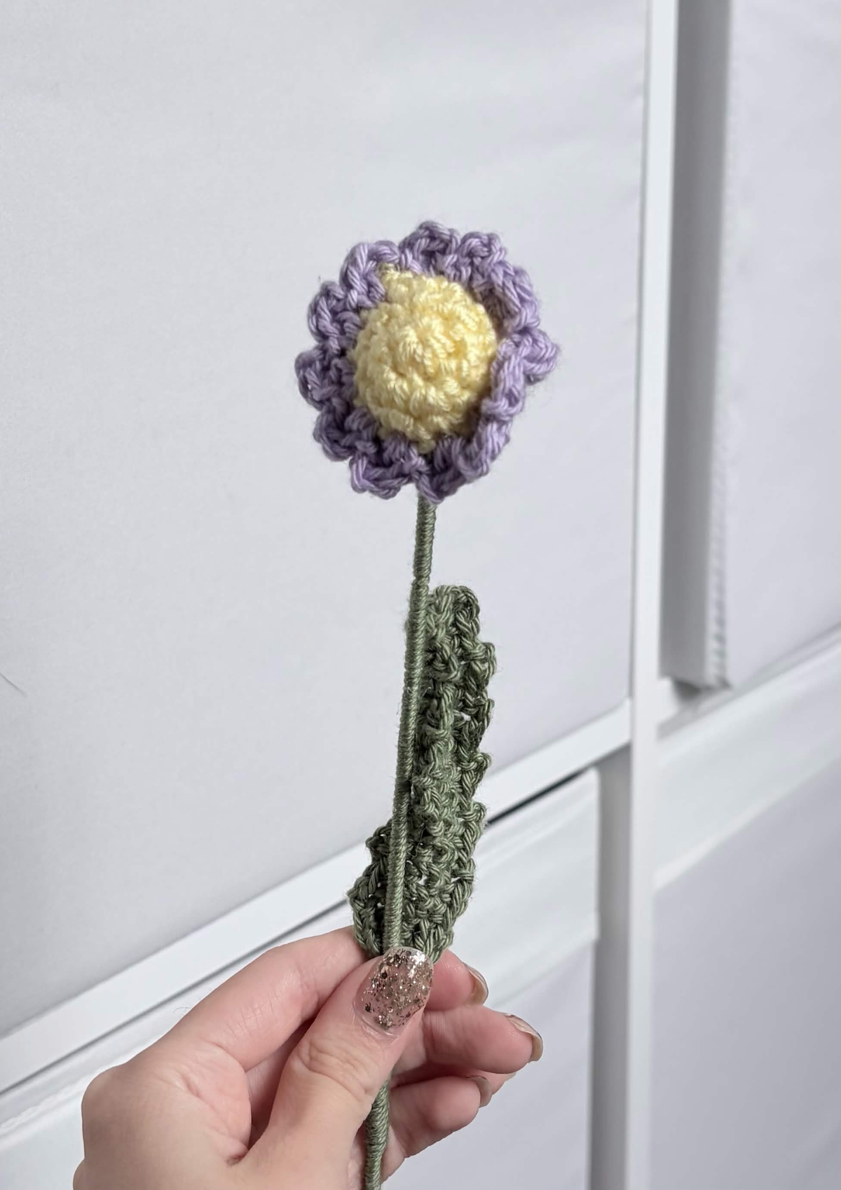 mini daisy