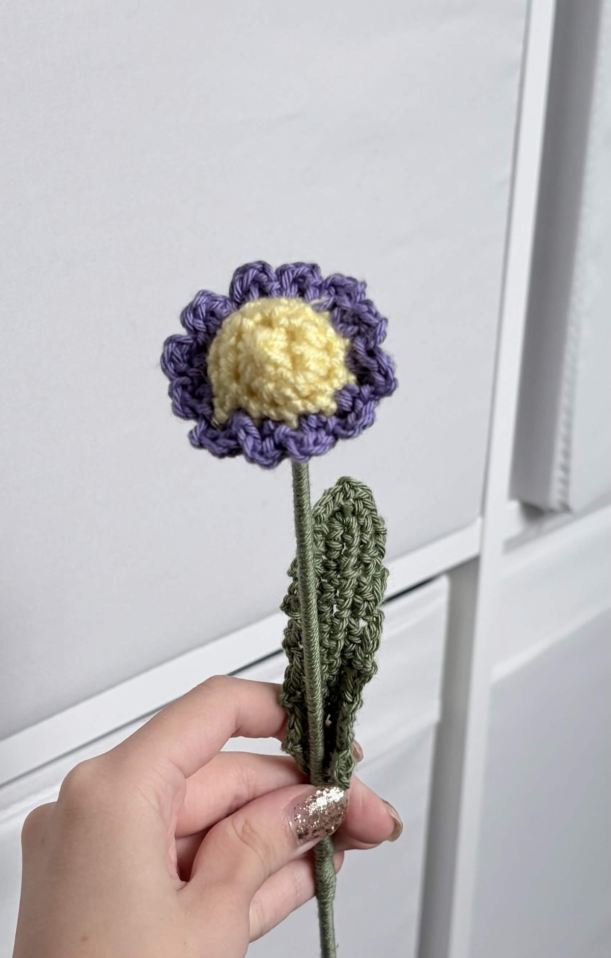 mini daisy