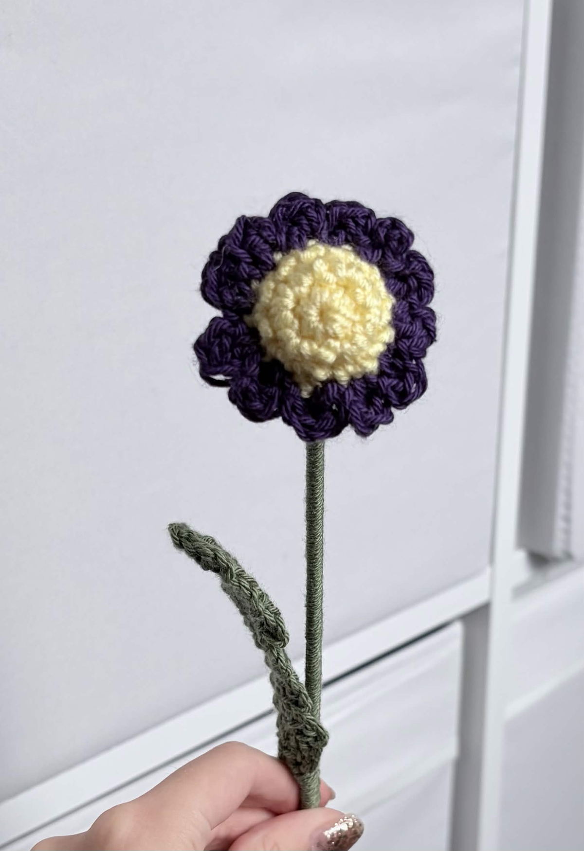 mini daisy