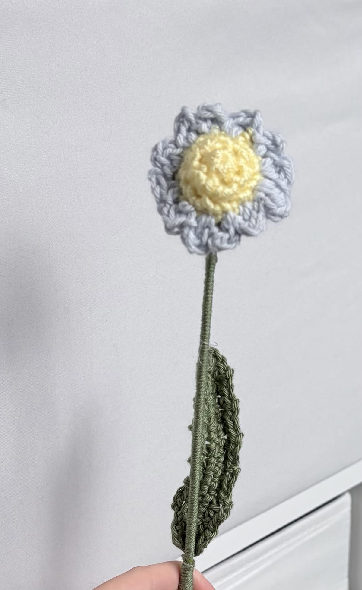mini daisy