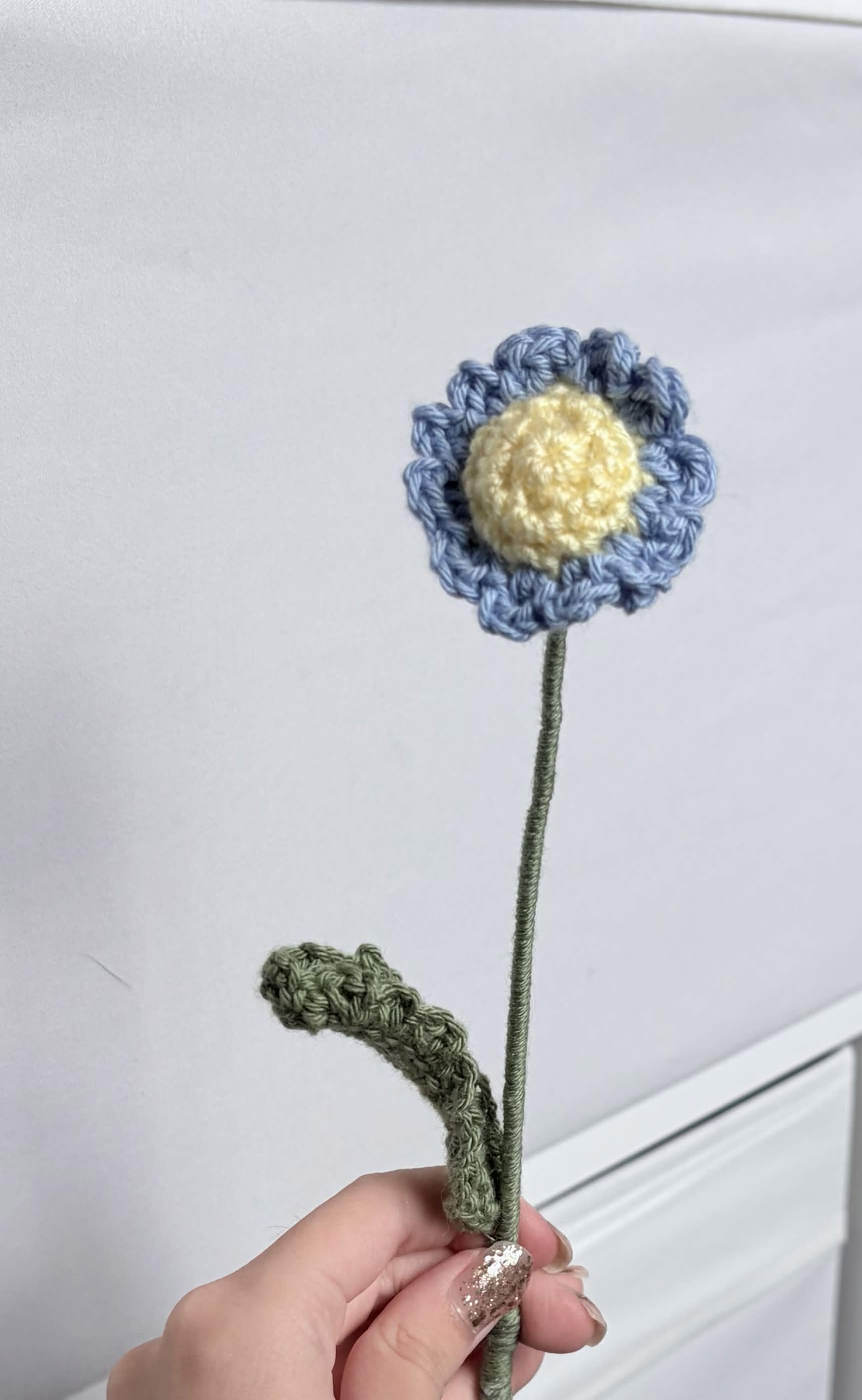 mini daisy