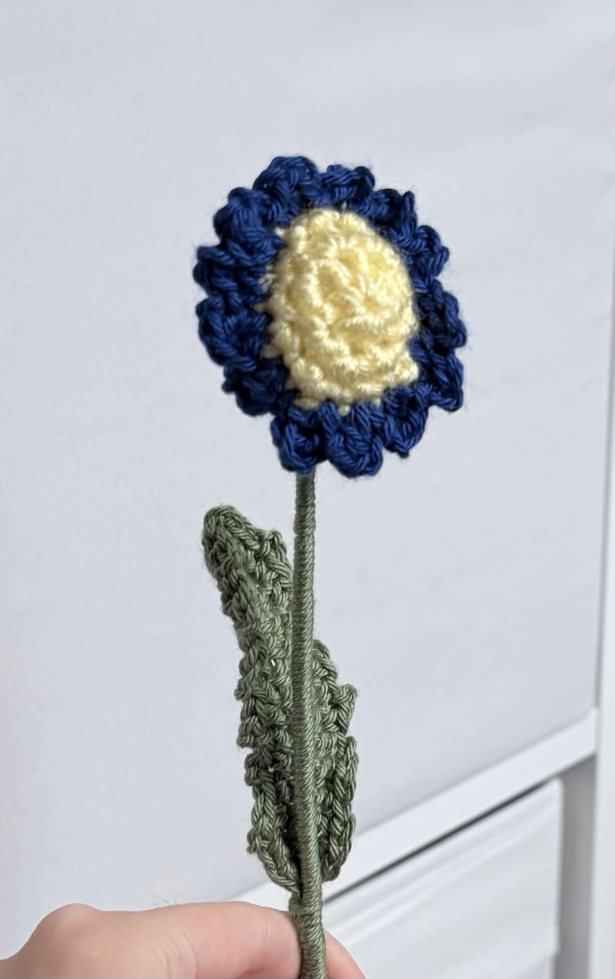 mini daisy