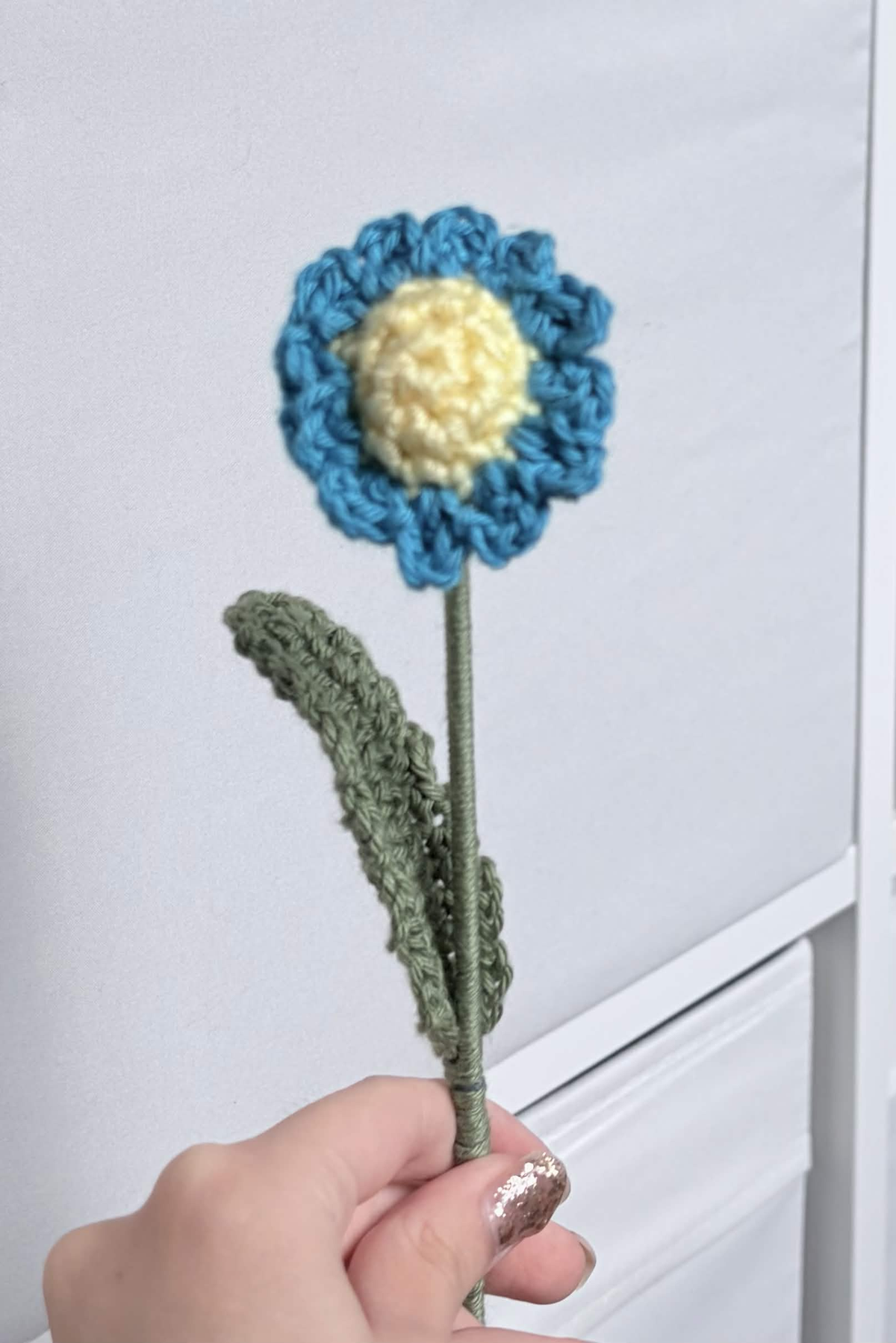 mini daisy