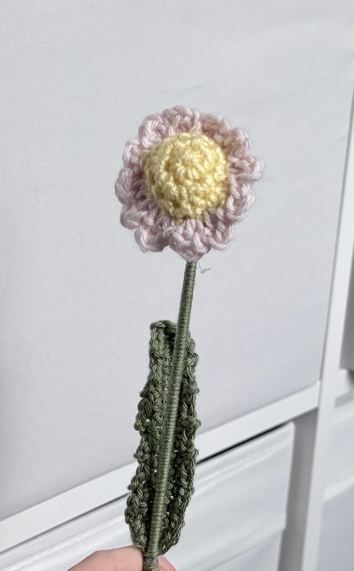 mini daisy