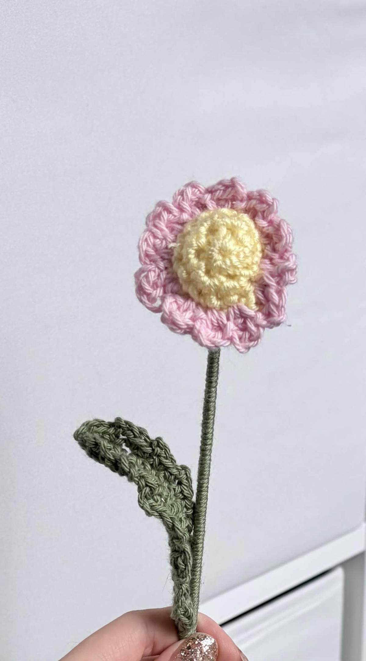 mini daisy
