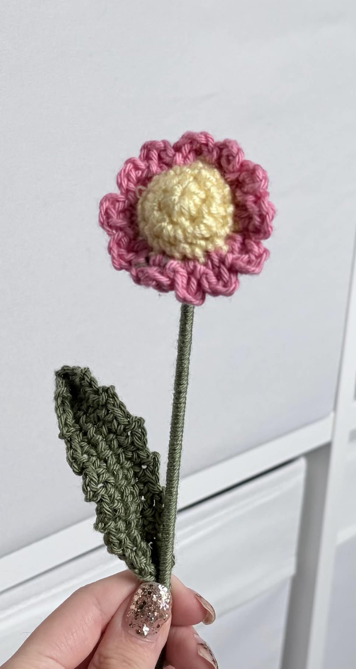 mini daisy