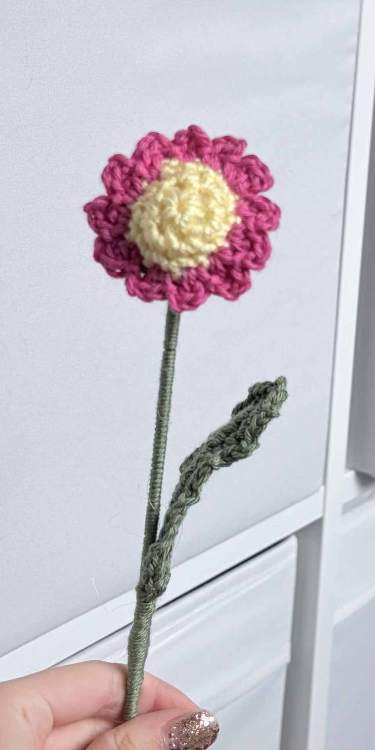 mini daisy