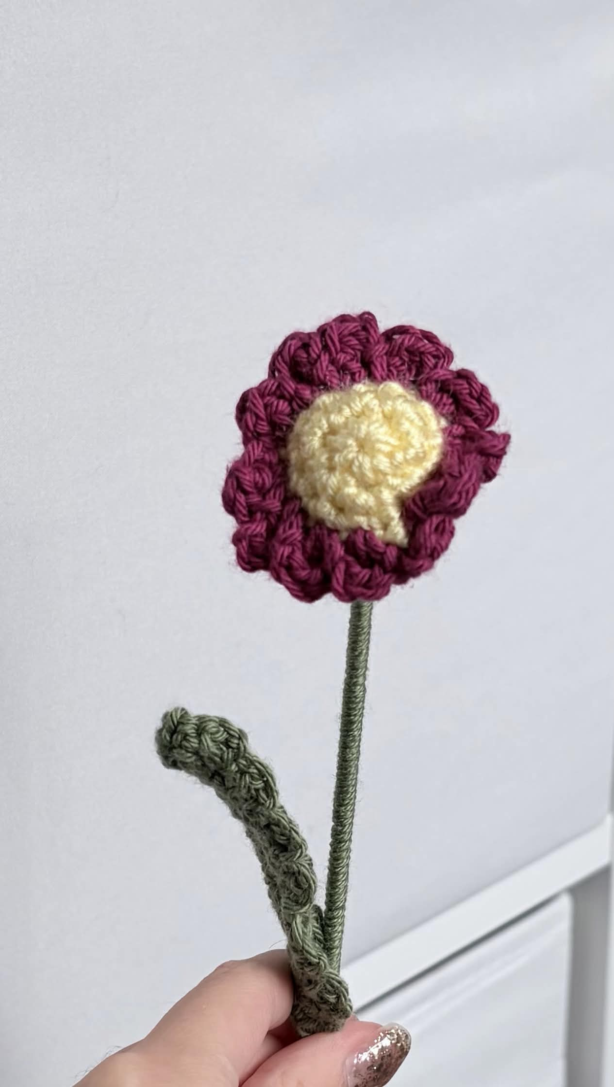 mini daisy