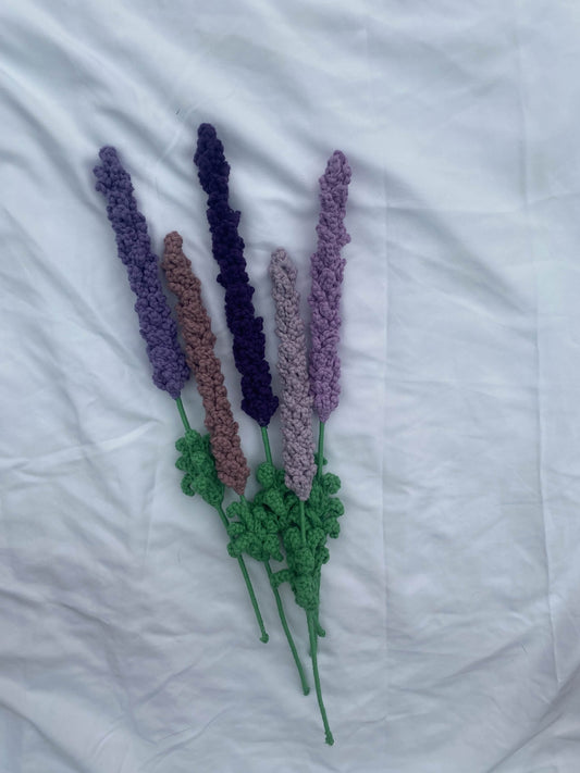 lavender