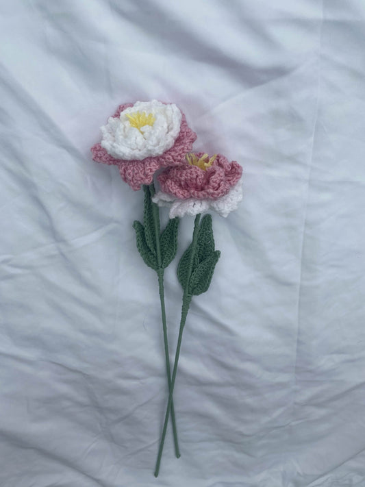 peony